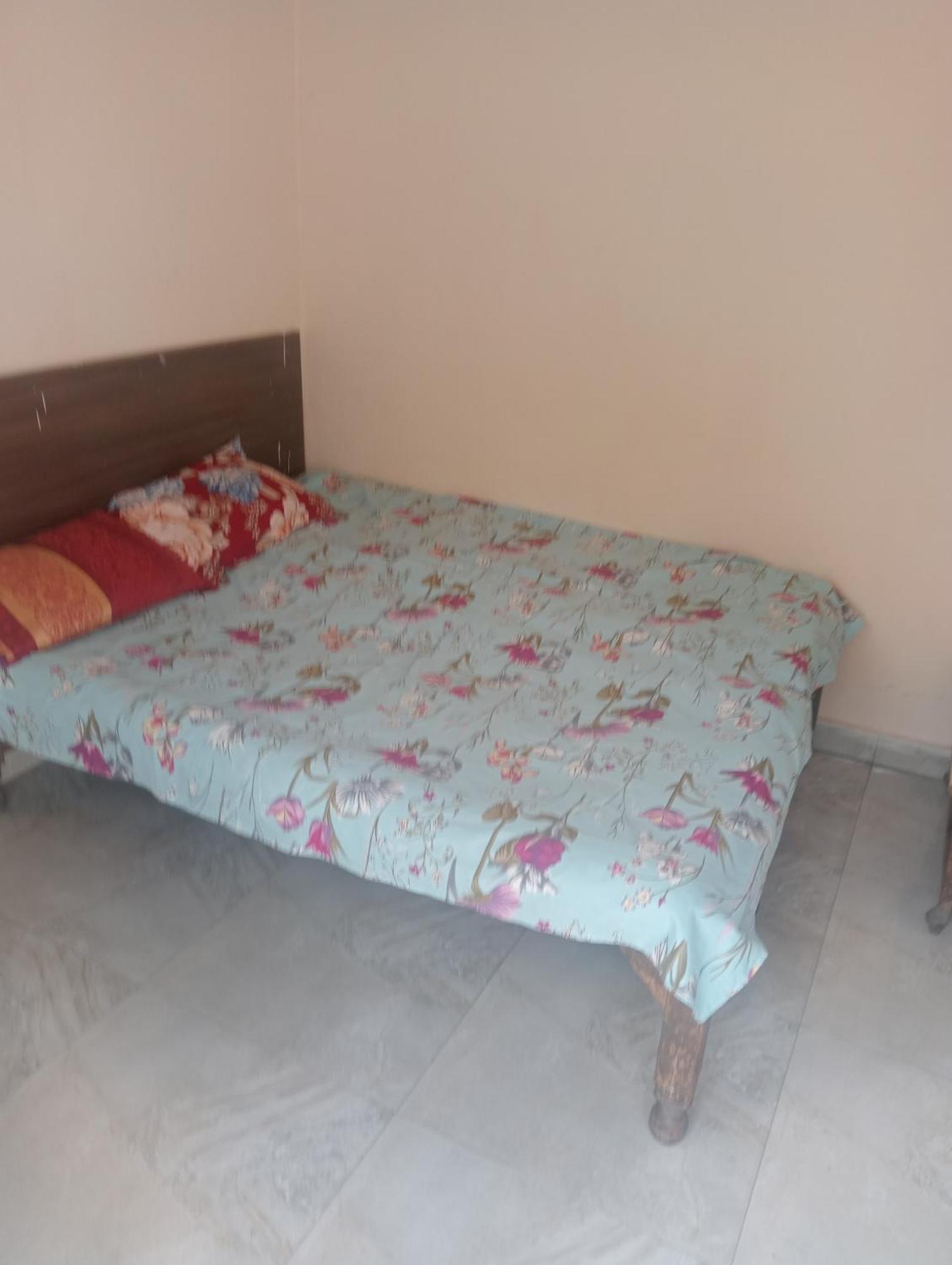 Ever Green Guest House Travel & Pg Ню Делхи Екстериор снимка