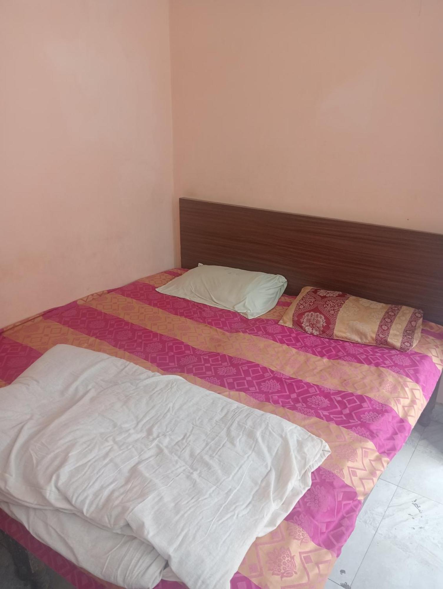 Ever Green Guest House Travel & Pg Ню Делхи Екстериор снимка